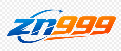 ZN999 Logo